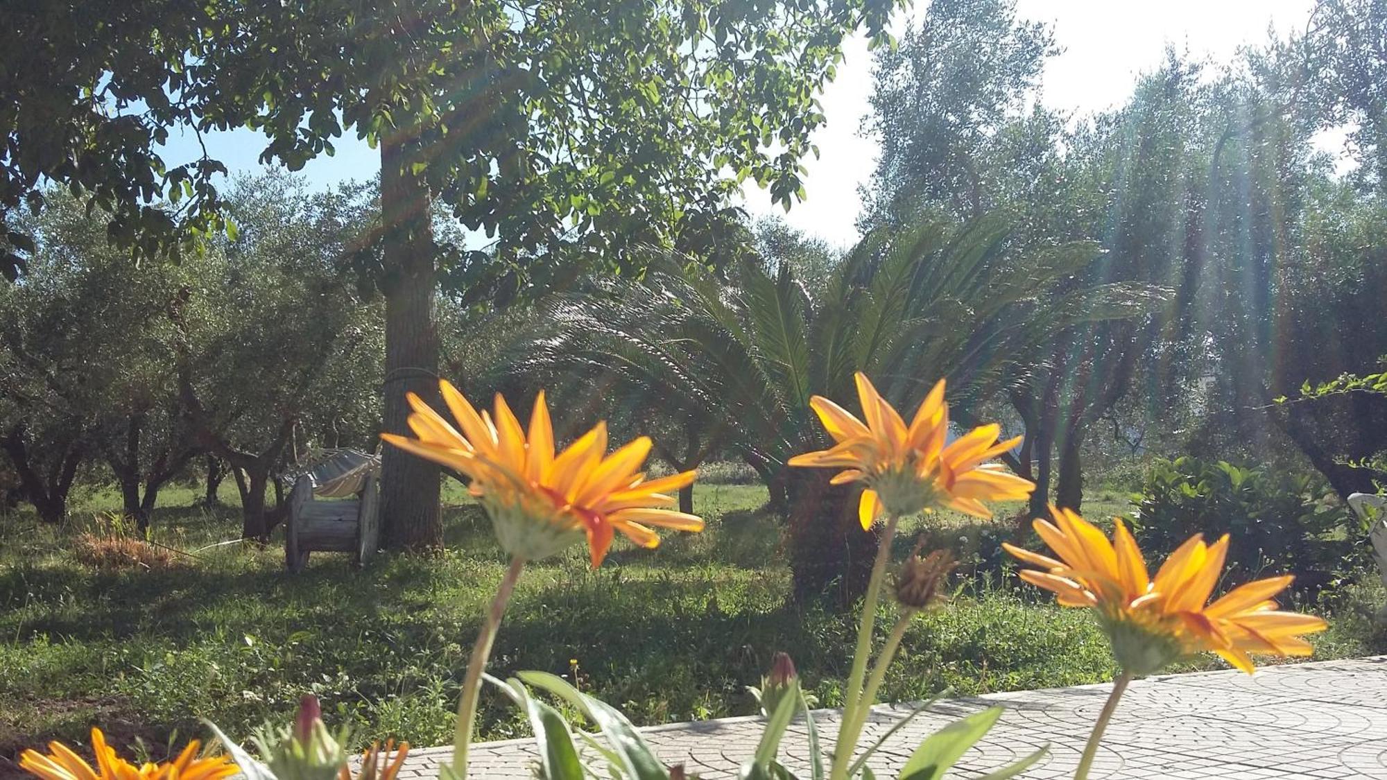 Agriturismo Santa Maria 马尔塔 外观 照片
