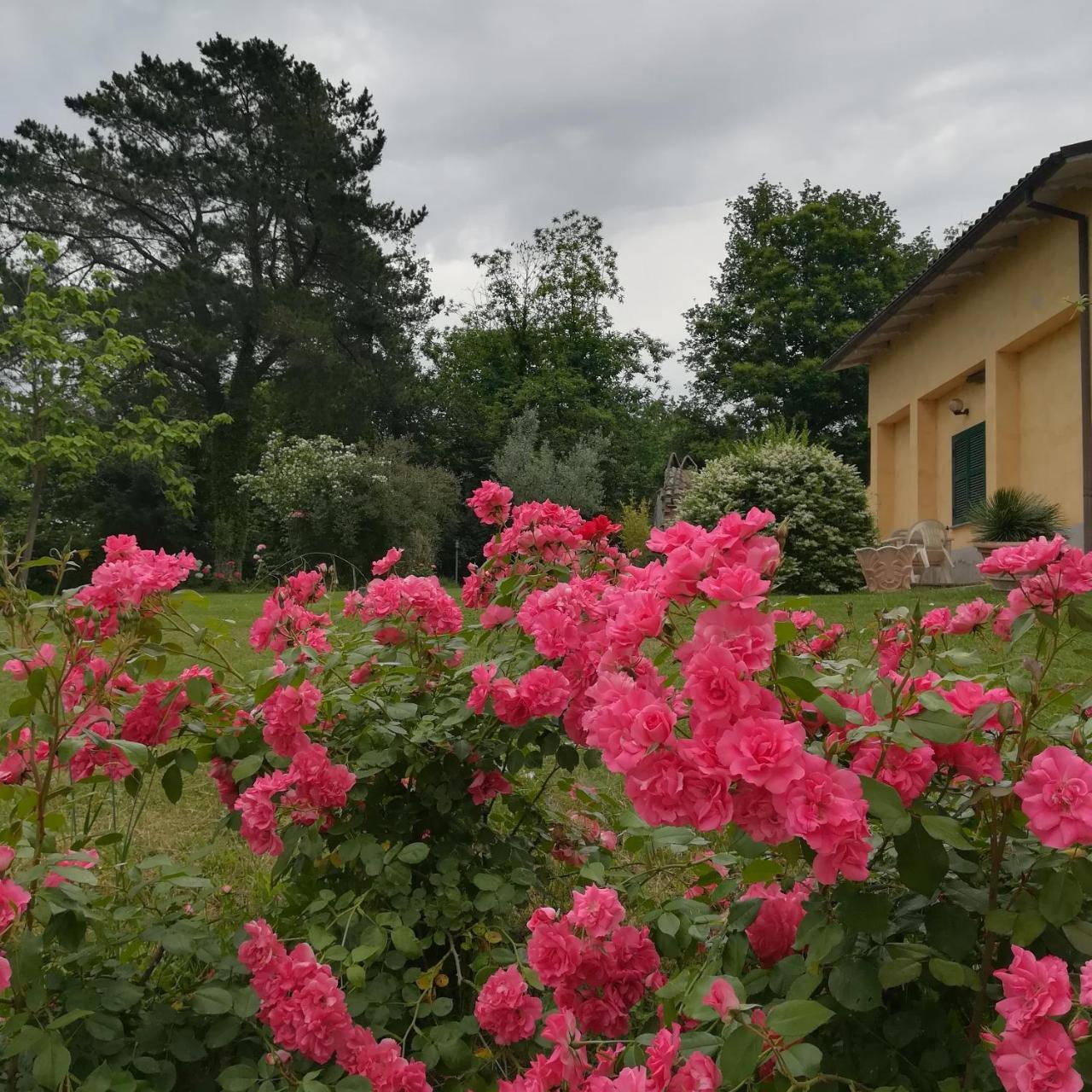 Agriturismo Santa Maria 马尔塔 外观 照片
